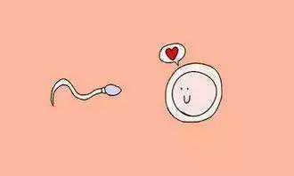 深圳试管代怀包成功,深圳三代试管婴儿医院流程，要3万美金吗？