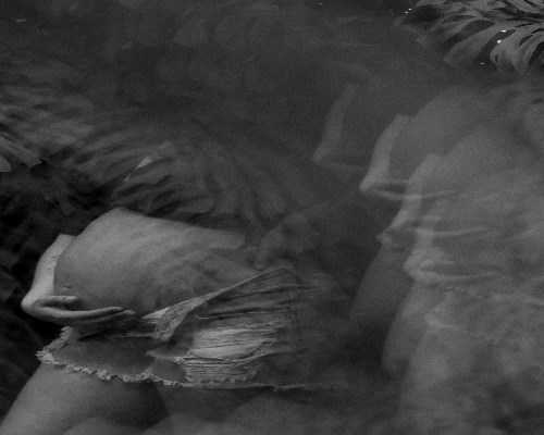 深圳供卵代怀机构,深圳哪些医院做试管婴儿比较好？深圳哪个医院做试管婴儿成功率最高？